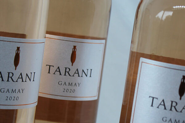 champagne en wijnen de blender Tarani Gamay rosé