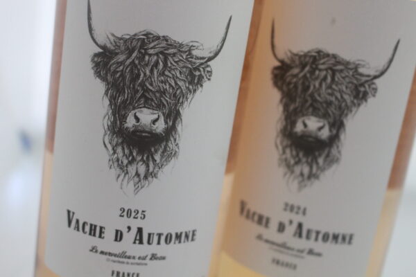 champagne en wijnen de blender Vache d'Automme Cinsault