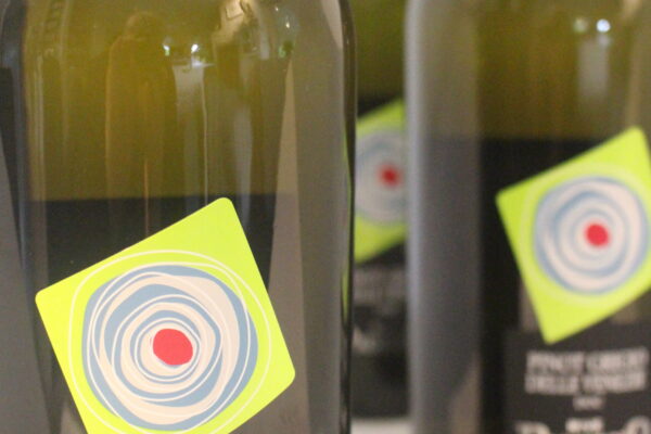 Champagne en Wijnen De Blender Pinot Grigio Dellen Venezie