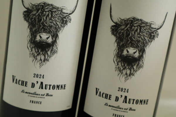 champagne en wijnen de blender Vache d'Automme Grenache Syrah Mourvedre