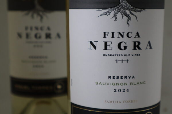 champagne en wijnen de blender Finca Negra Reserva Sauvignon Blanc