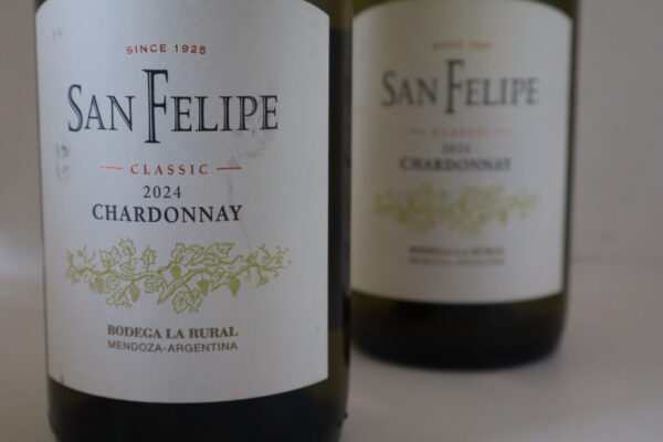 Champagne en wijnen de blender San Felipe Classic Chardonnay